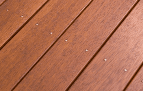 Website Feature Image (77)