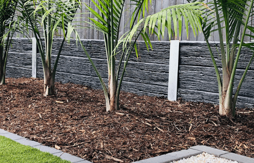 Website Feature Image 2022 01 28T173512.492