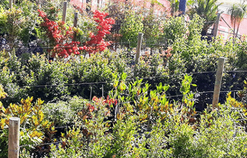 Website Feature Image 2022 01 26T175357.578