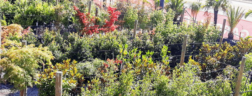 Website Feature Image 2022 01 26T175357.578