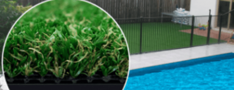 Trouble-Free Turf!