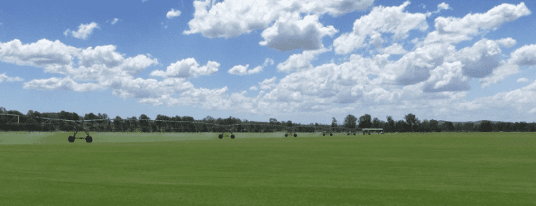 Longer Lasting Lawns