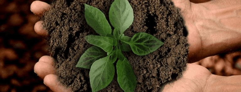 Landscaping Solutions