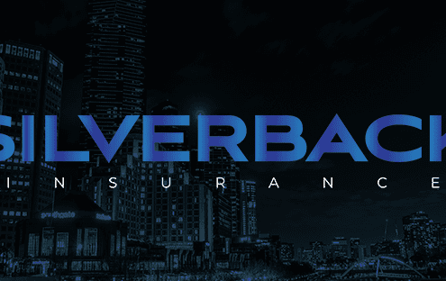 Silverback FacebookBanner