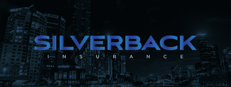 Silverback is Safeguarding Success