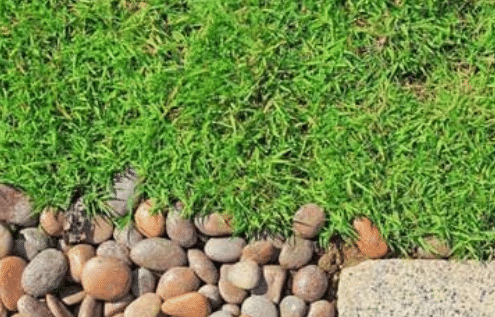 Website Feature Image 2021 10 29T104224.780