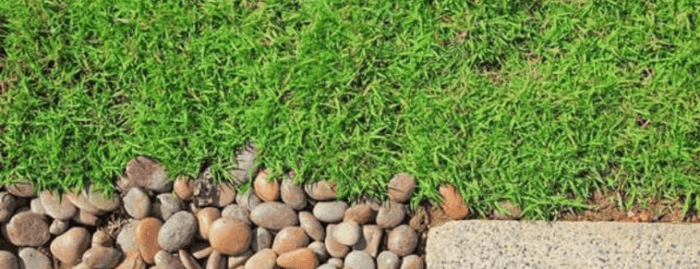 Landscaping Legends You’ll Love