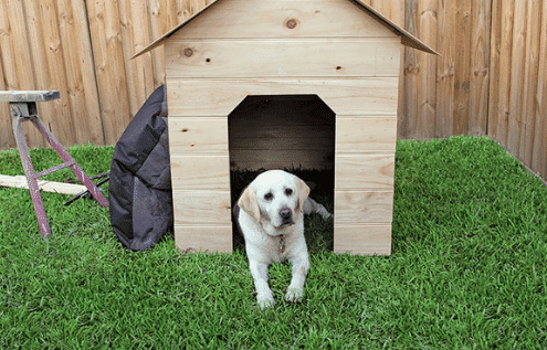 Website Feature Image 2021 11 11T105431.138