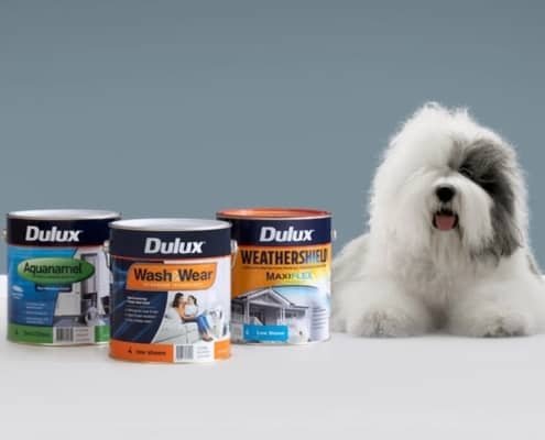 Dulux dog