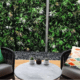 Lounge chair suite against a green garden wall backdrop