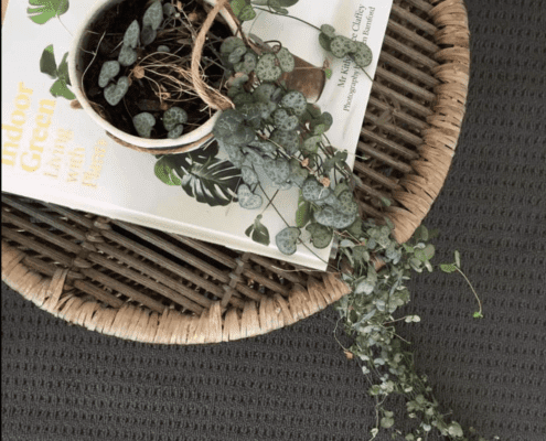 Birds Eye view of a cane coffee table with a couple of magazines and a plant on it on top of some nice grey carpet