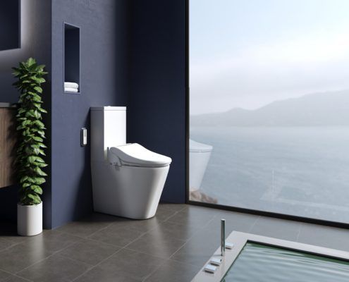 Luxury bathroom with a big window looking over the mountains. White toilet is backed against a navy blue wall and there’s a luxury bathtub in the centre.