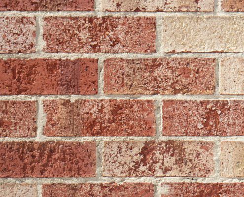 Little Hampton Bricks Face Bricks MD Brick sincero blush rustic charm bricks