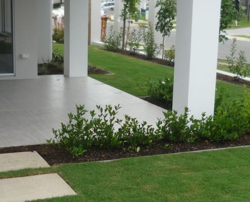 banner hedge edging house pavers