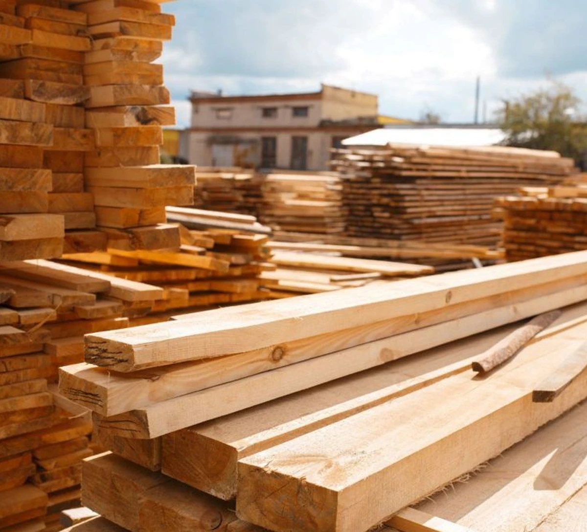 Versace timber stack